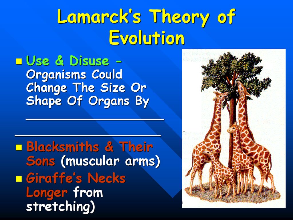 Evolution Diversity of Life. - ppt download