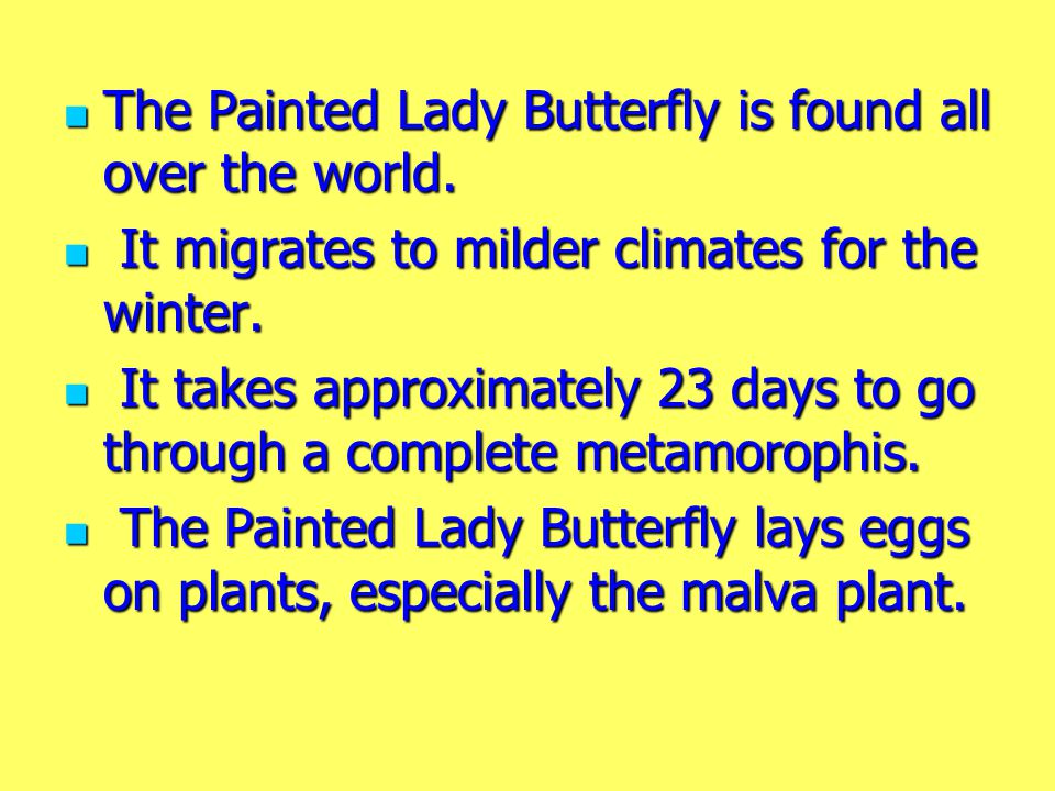 The Painted Lady Butterfly is found all over the world.