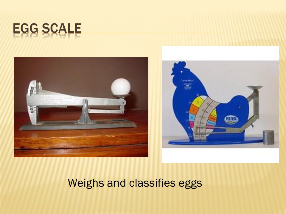 Kuhl JIFFY-III-12 Jiffy-Way Egg Grading Scale