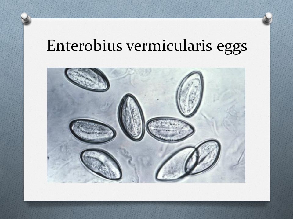 enterobius vermicularis review ce este verucile genitale candidoza