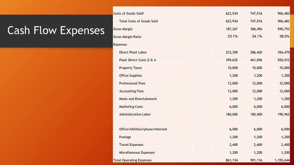 Cash Flow Expenses Costs of Goods Solda 622, , ,482