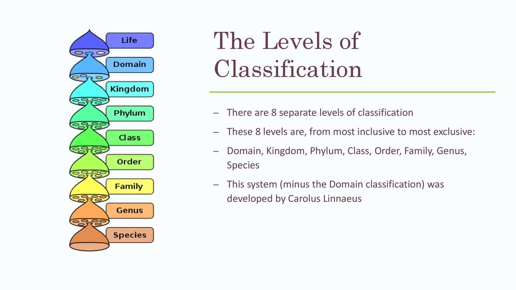 Unit B Ecosystems & Population Change - ppt download