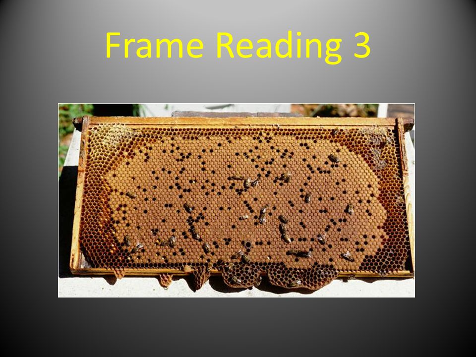 Frame Reading 3