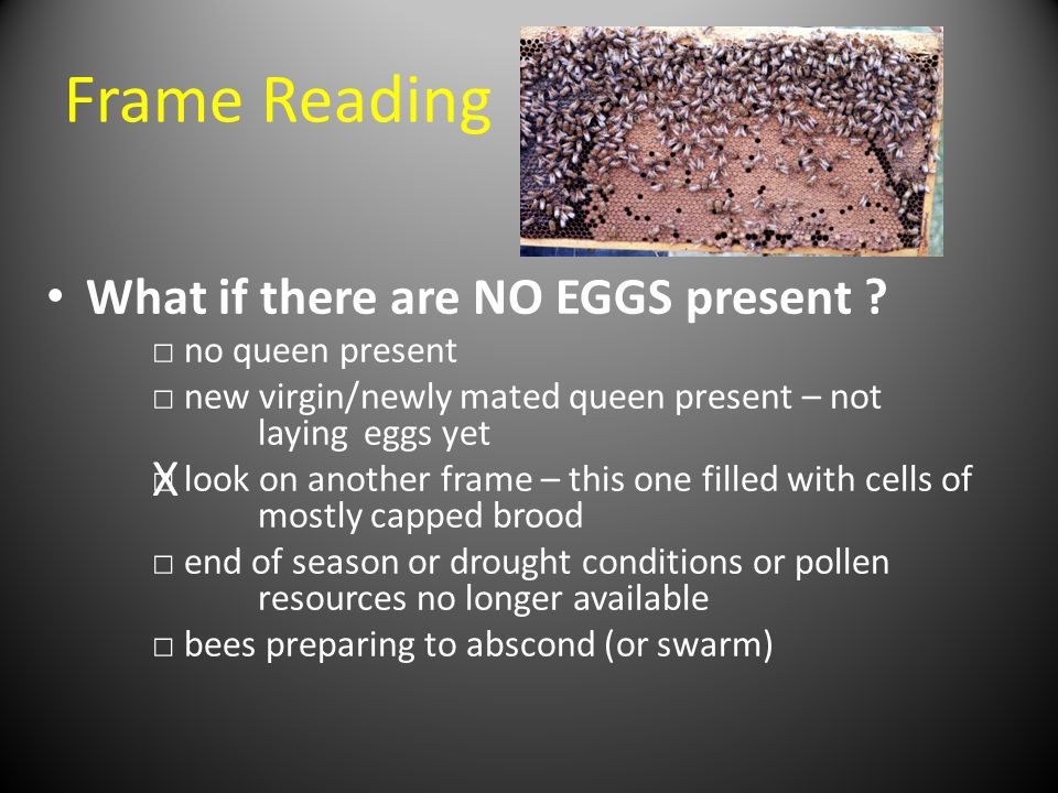 Frame Reading What if there are NO EGGS present X