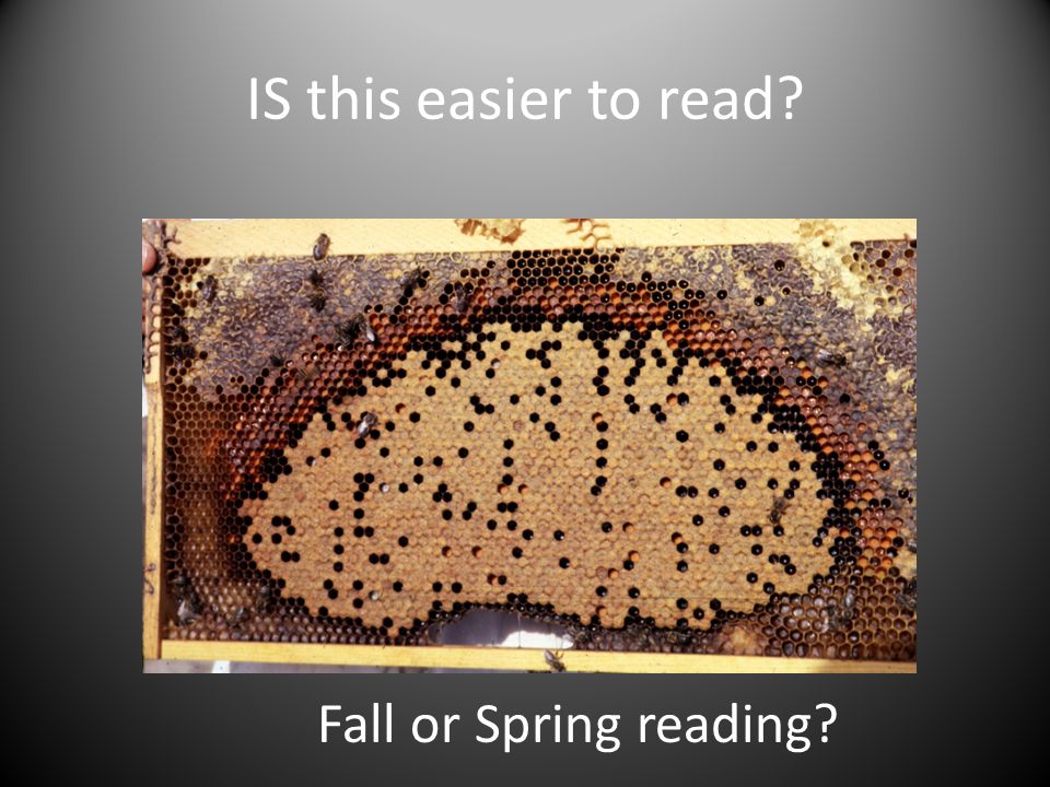 IS this easier to read Fall or Spring reading