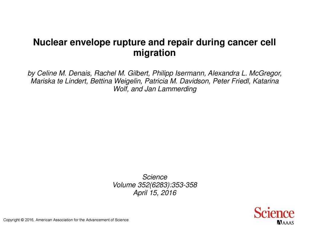 Nuclear envelope rupture and repair during cancer cell migration Biology Diagrams
