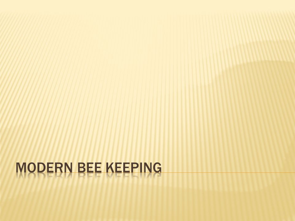 Modern bee keeping