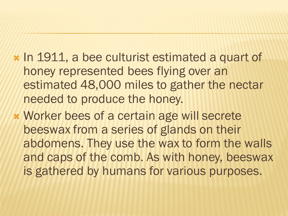 In 1911, a bee culturist estimated a quart of honey represented bees flying over an estimated 48,000 miles to gather the nectar needed to produce the honey.
