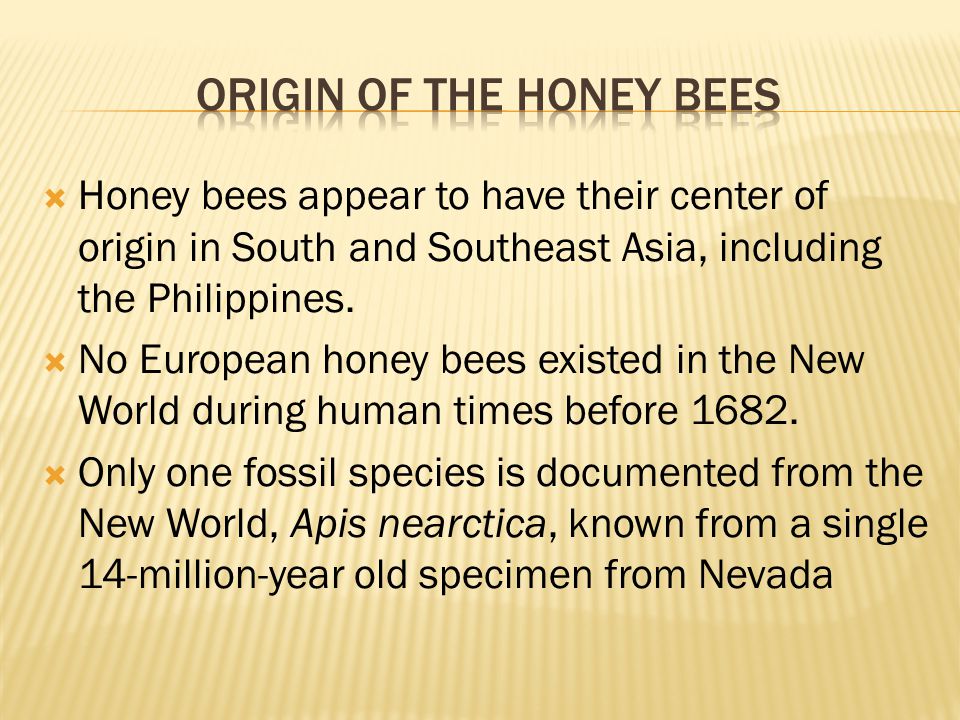 Origin of the Honey bees