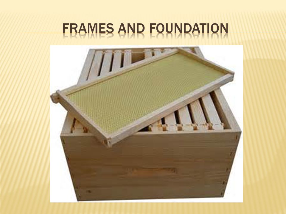 Frames and foundation