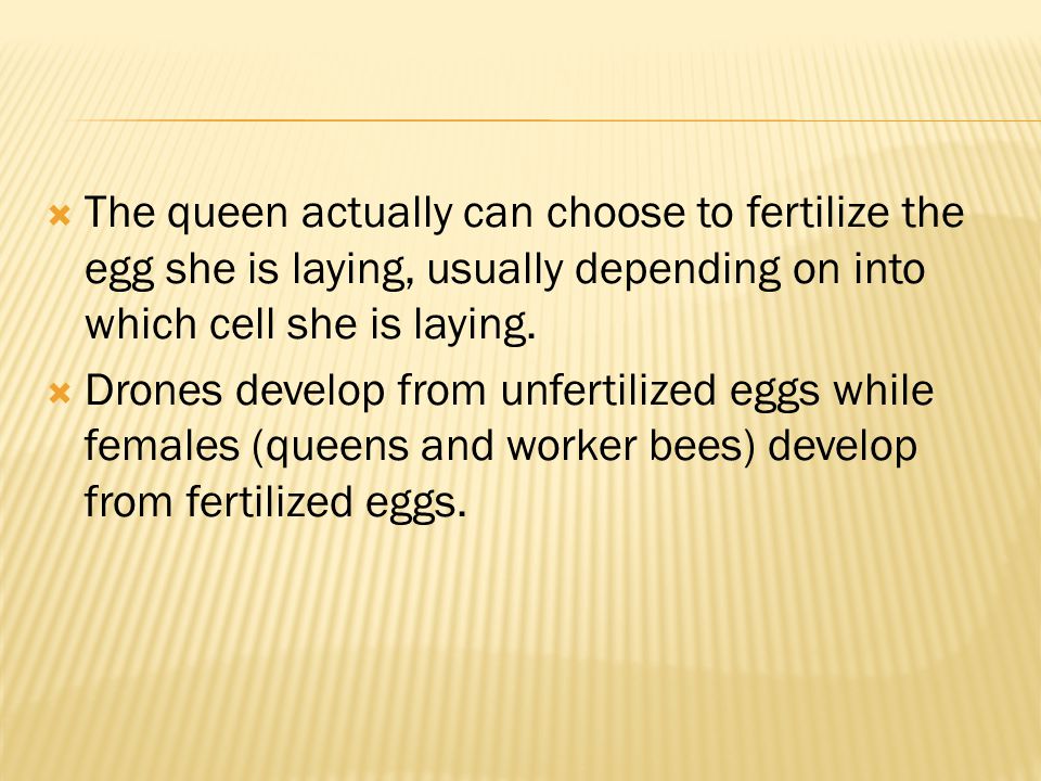 The queen actually can choose to fertilize the egg she is laying, usually depending on into which cell she is laying.