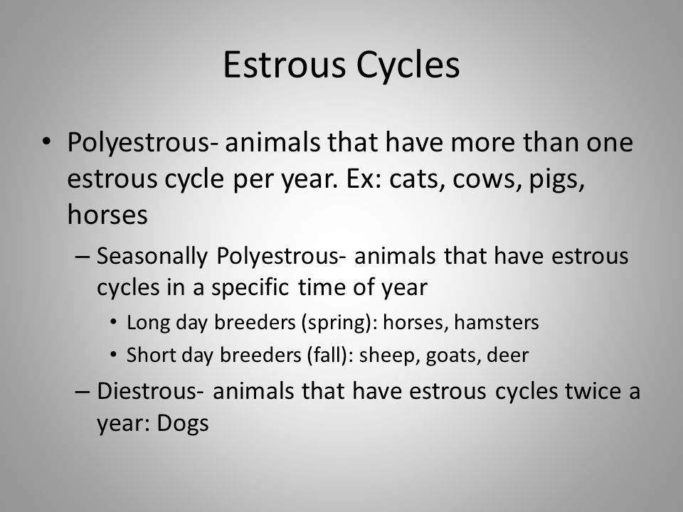 Animal Reproduction. - ppt video online download