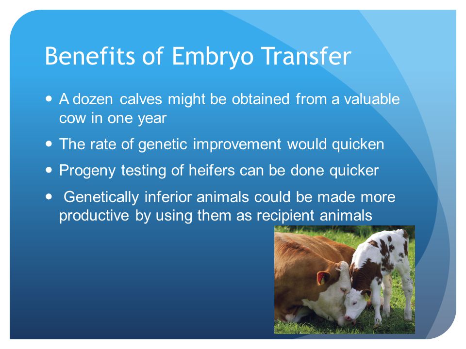 Got Babies? Embryo Transfer in Livestock - ppt download