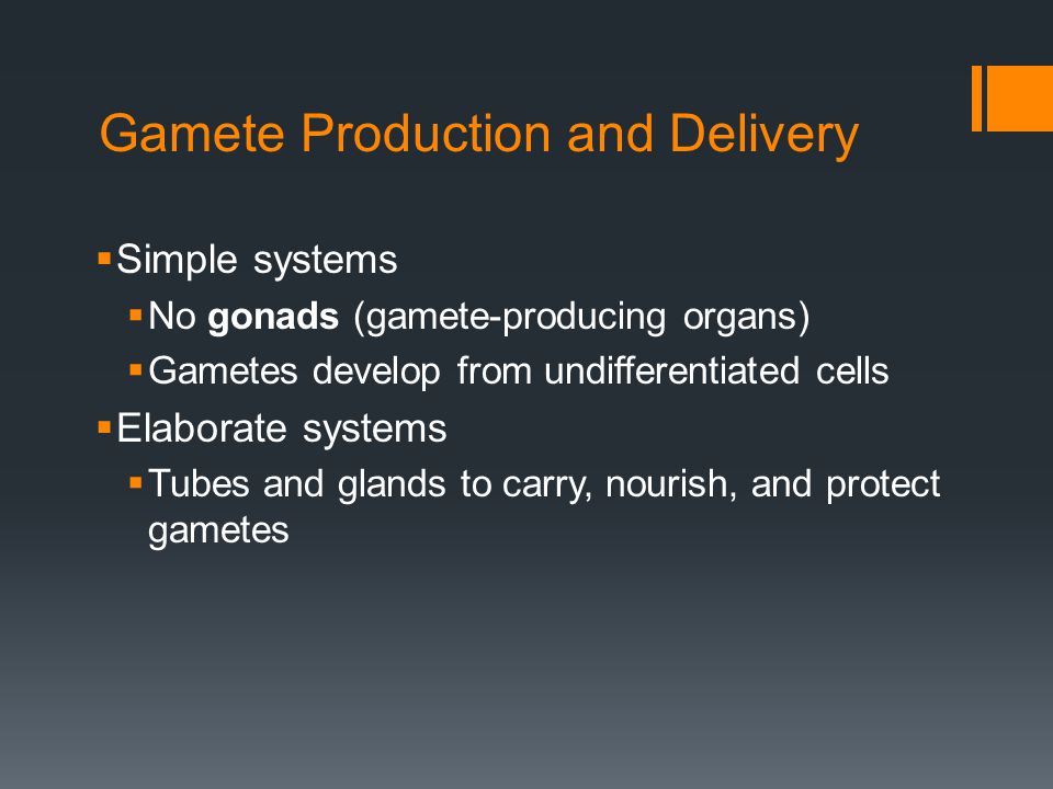 Gamete Production and Delivery