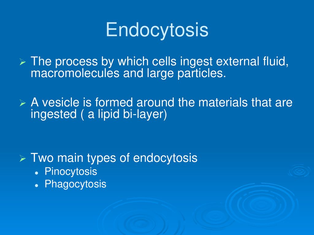 Endocytosis The process by which cells ingest external fluid, macromolecules and large particles.