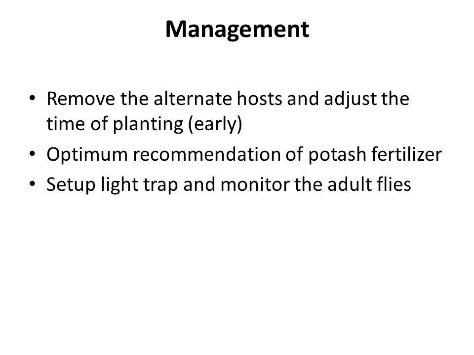 Management Remove the alternate hosts and adjust the time of planting (early) Optimum recommendation of potash fertilizer.