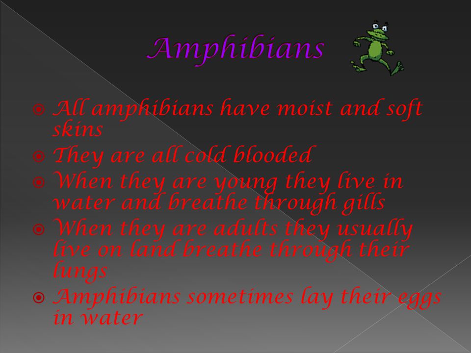 Amphibians All amphibians have moist and soft skins