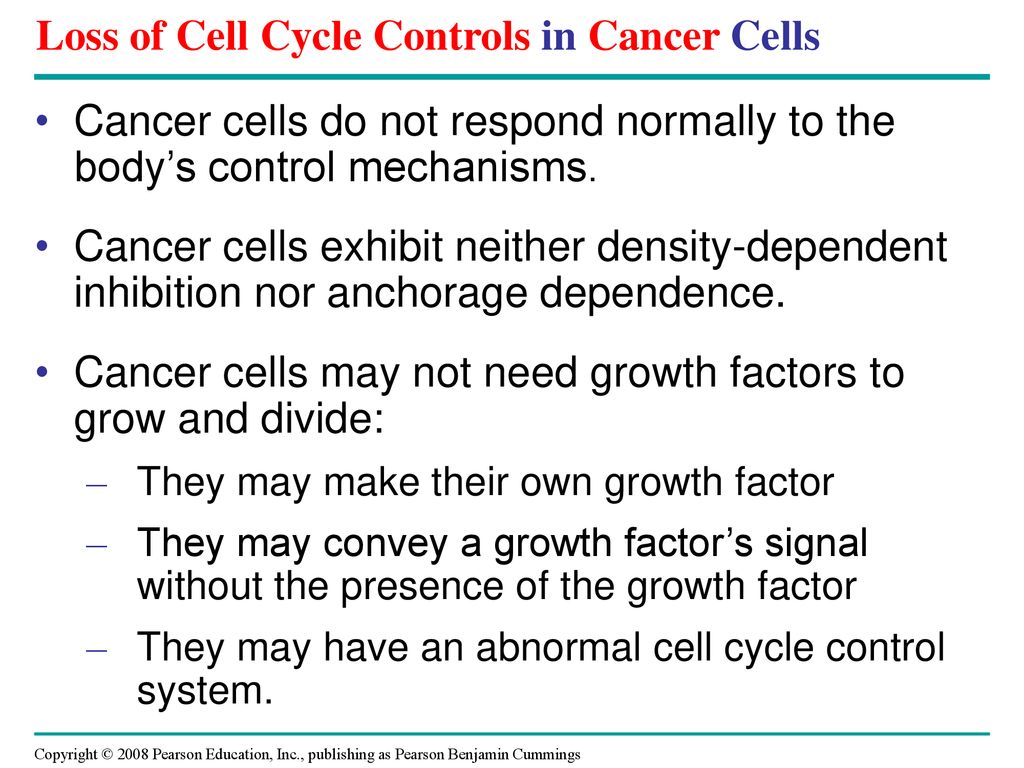 Chapter 12 The Cell Cycle. Biology Diagrams
