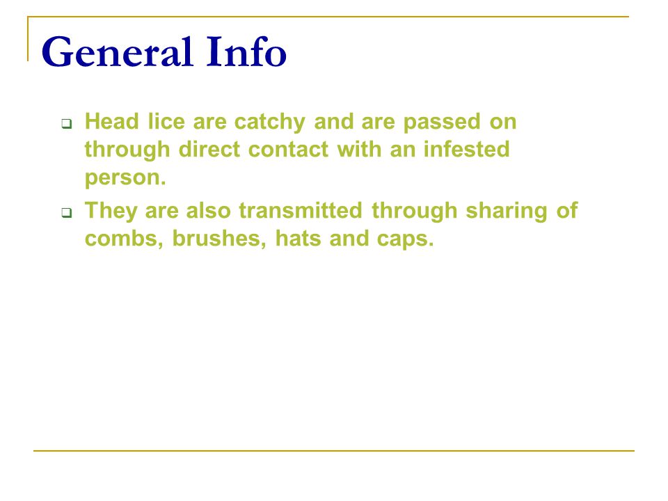 General Info Head lice are catchy and are passed on through direct contact with an infested person.