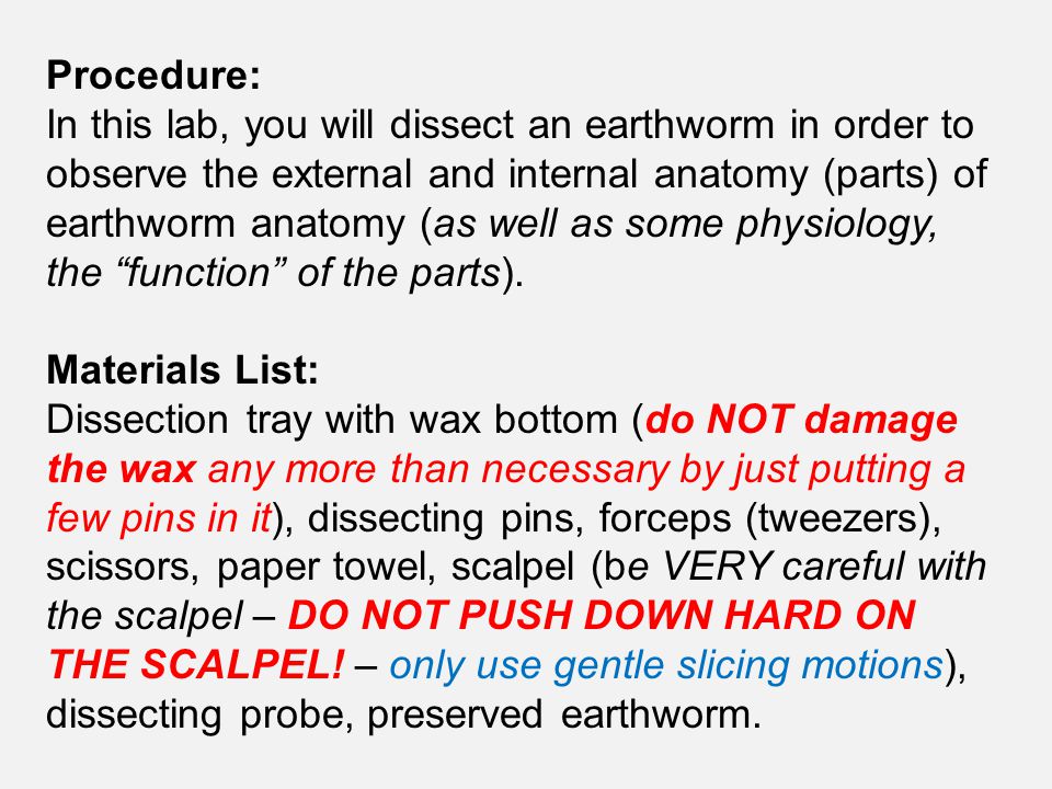 Earthworm Dissection Lab Ppt Video Online Download
