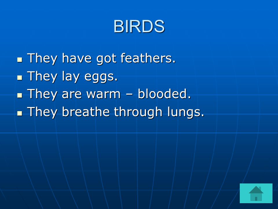 BIRDS They have got feathers. They lay eggs. They are warm – blooded.