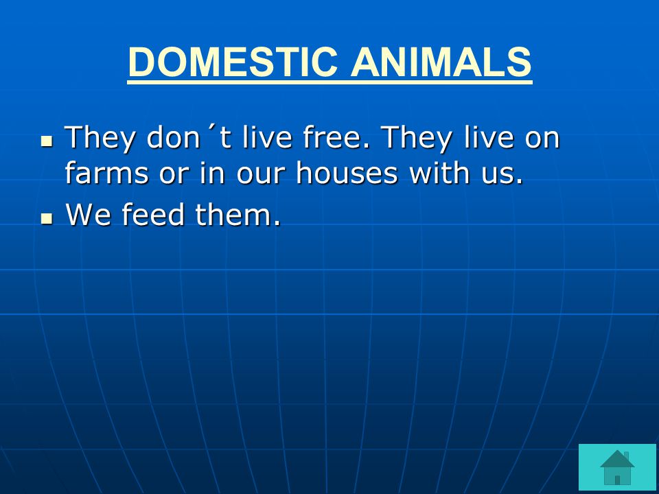 DOMESTIC ANIMALS They don´t live free. They live on farms or in our houses with us. We feed them.