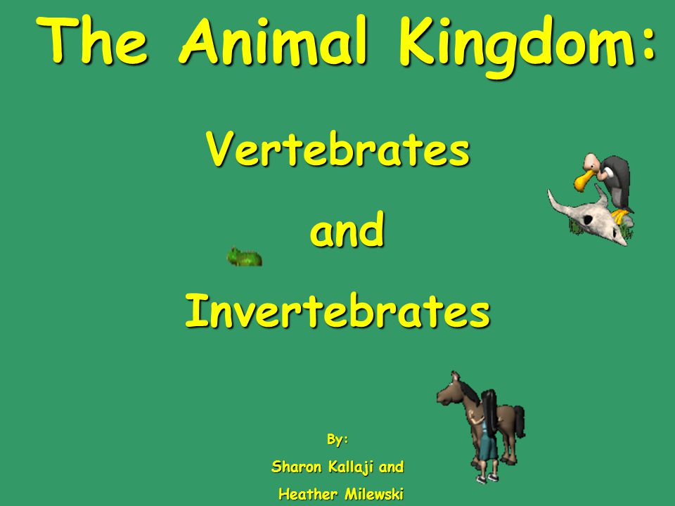 Vertebrates and Invertebrates. - ppt video online download