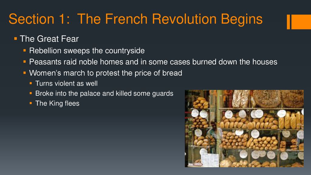 Chapter 7: French Revolution and Napoleon - ppt download