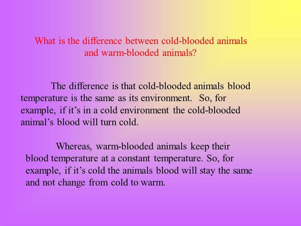 Cold-blooded Vs Warm-blooded By:Ehsaan. - ppt video online download