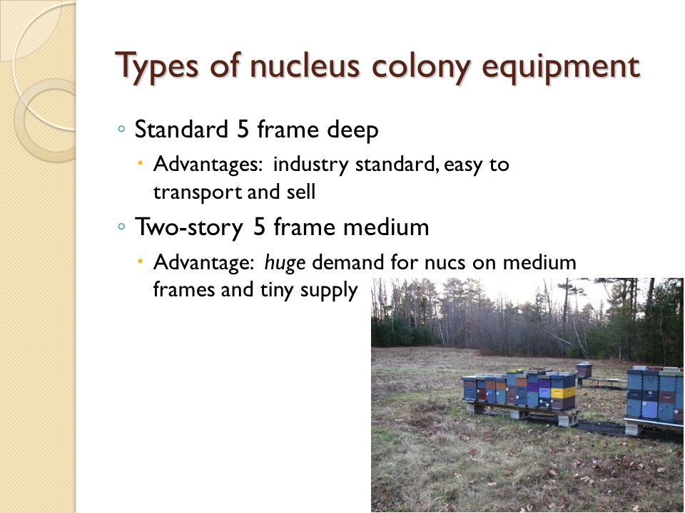 Types of nucleus colony equipment