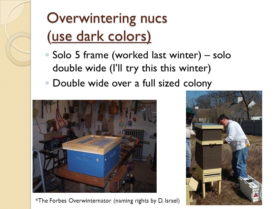 Overwintering nucs (use dark colors)