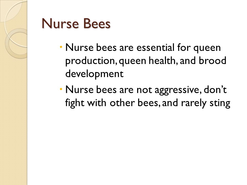 Nurse Bees Nurse bees are essential for queen production, queen health, and brood development.