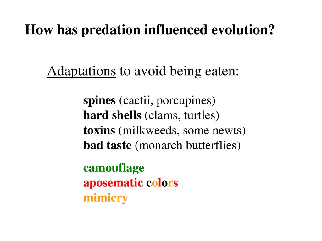 How has predation influenced evolution