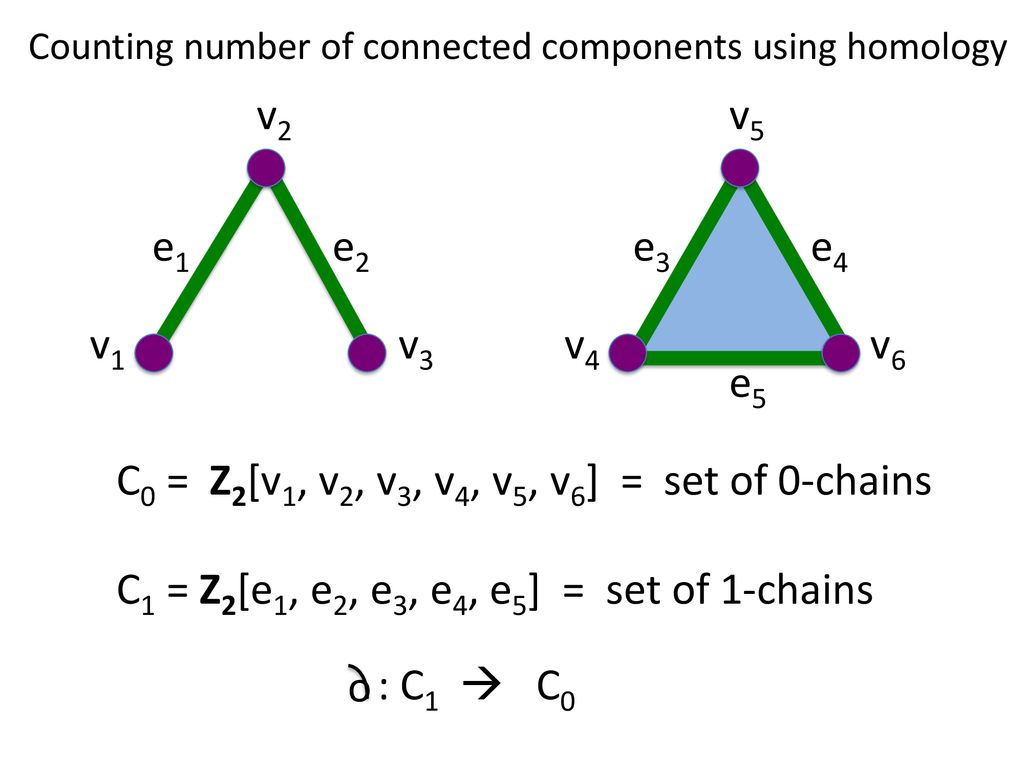 Counting number of connected components using homology