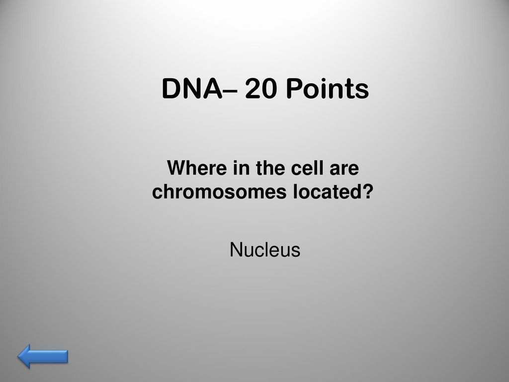 Emily reese robert homan rafael perez heather wojtowicz ppt download