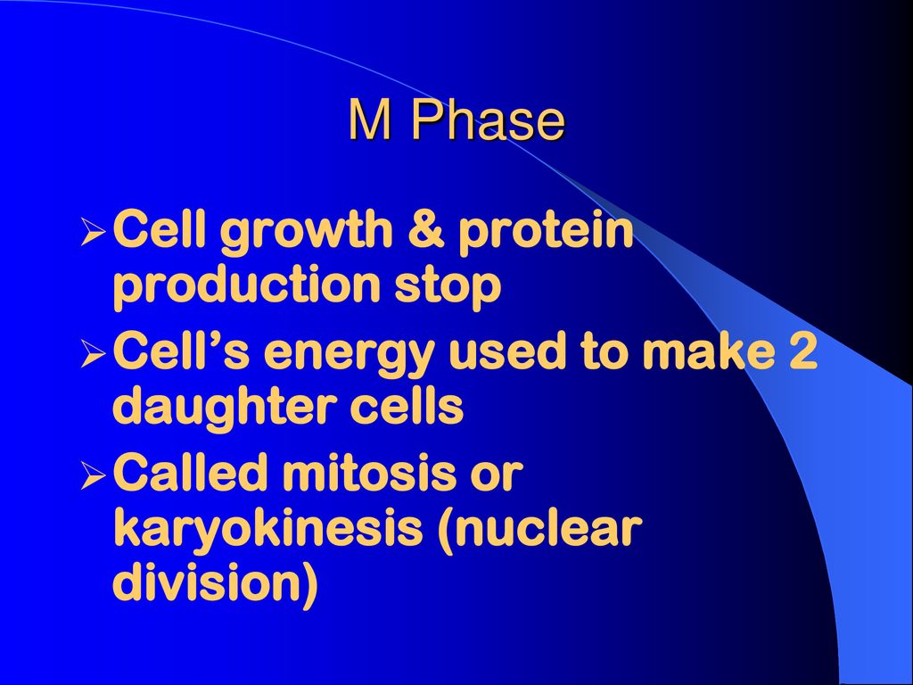 Cell Reproduction Prokaryotes Bacteria Eukaryotes Plants & animals ... Biology Diagrams