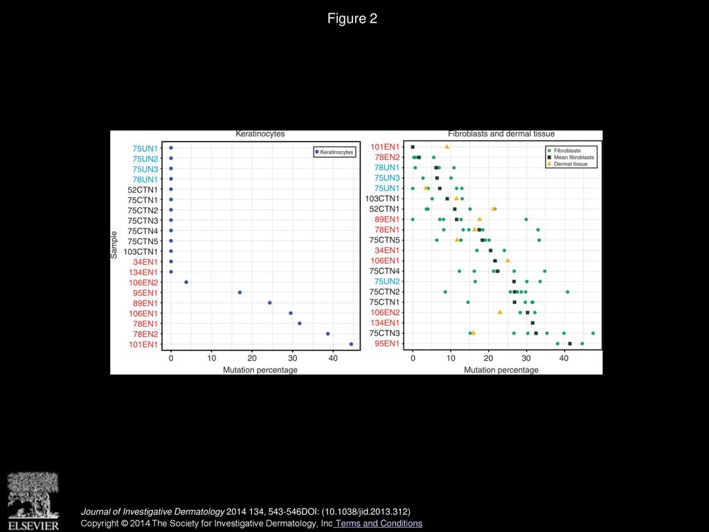 AKT1 Gene Mutation Levels Are Correlated with the Type of Dermatologic ...