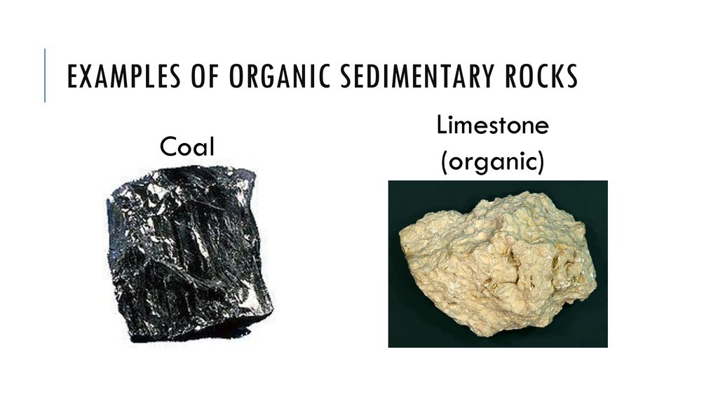 Sedimentary Rocks. - ppt download