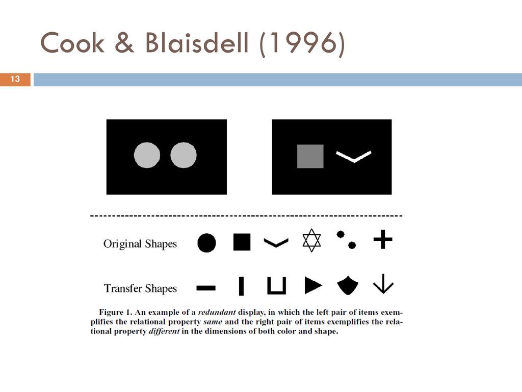 Cook & Blaisdell (1996) 13