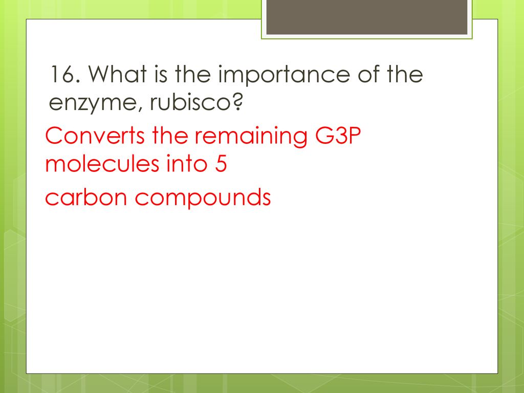 8 2 photosynthesis honors assessment ppt download