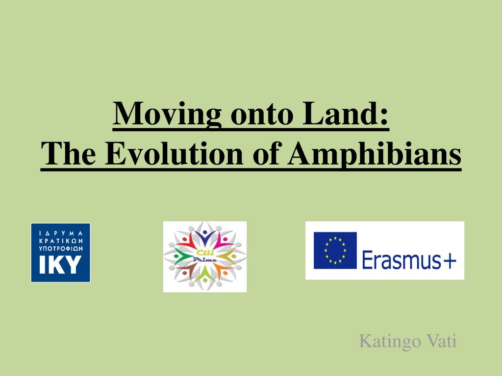 Moving onto Land: The Evolution of Amphibians - ppt download