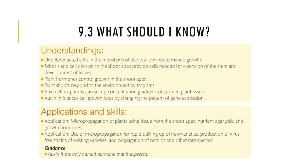 9.3 Growth in Plants. - ppt download