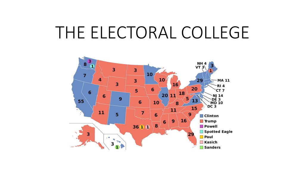 THE ELECTORAL COLLEGE Ppt Download the-electoral-college-ppt-download