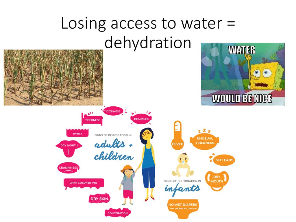 Losing access to water = dehydration