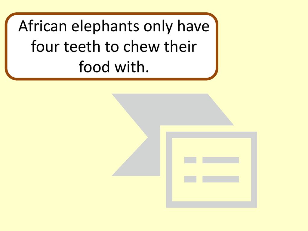 Interesting facts about… - ppt download