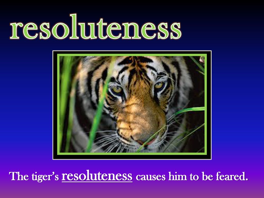 Resolute: adjective definition: determined in purpose or opinion. - ppt