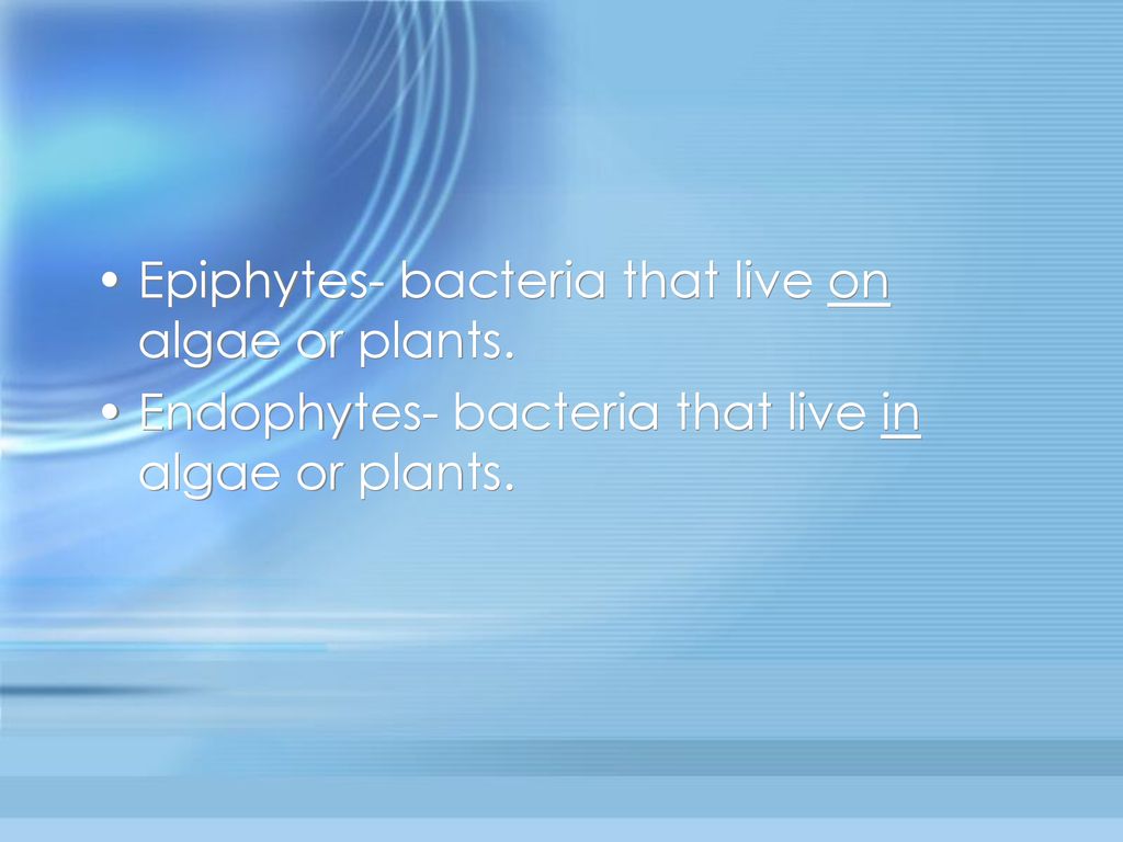 Chapter 5 The Microbial World Ppt Download thats-what-i-call-many-bacteria-for-a-urine-sample-you-can-also-see