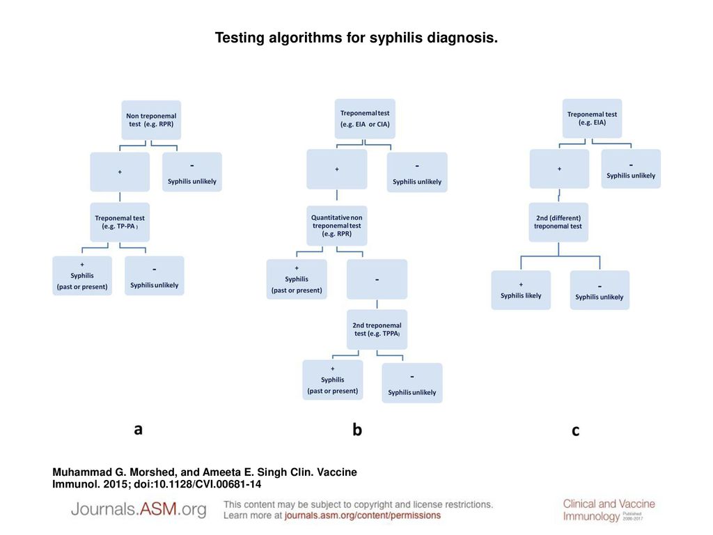 Testing algorithms for syphilis diagnosis. - ppt download