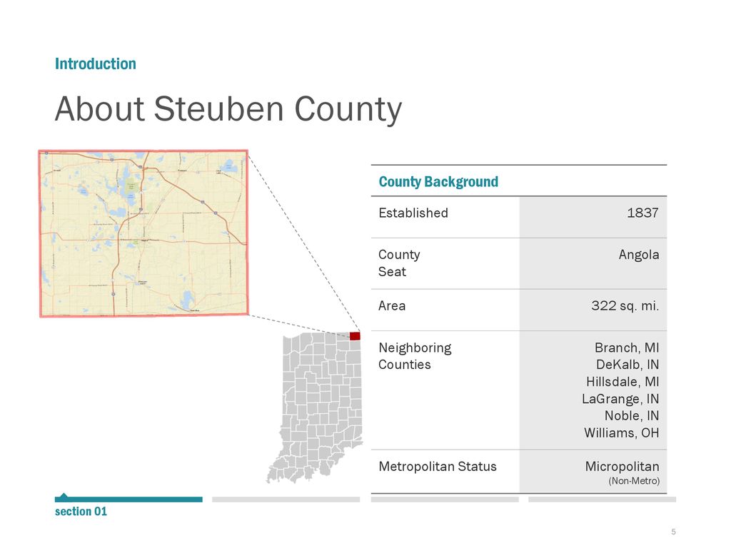 DATA SNAPSHOT Steuben County Data SnapShot Series 2 August ppt download