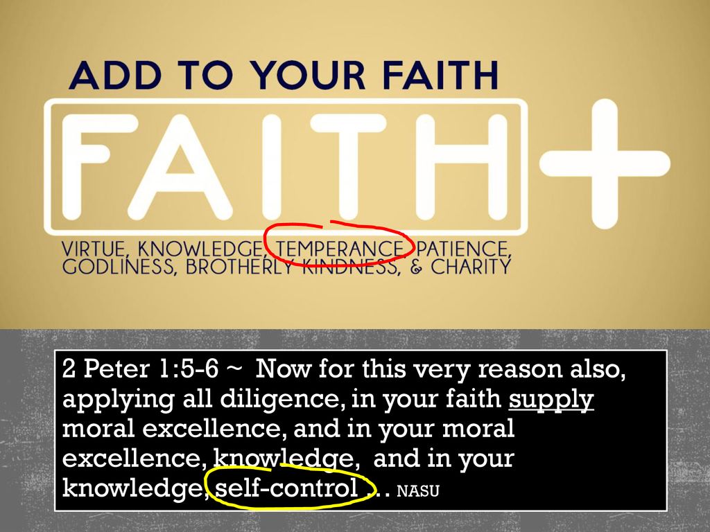 2 Peter 1 5 6 Now For This Very Reason Also Applying All Diligence 2-peter-1-5-6-now-for-this-very-reason-also-applying-all-diligence